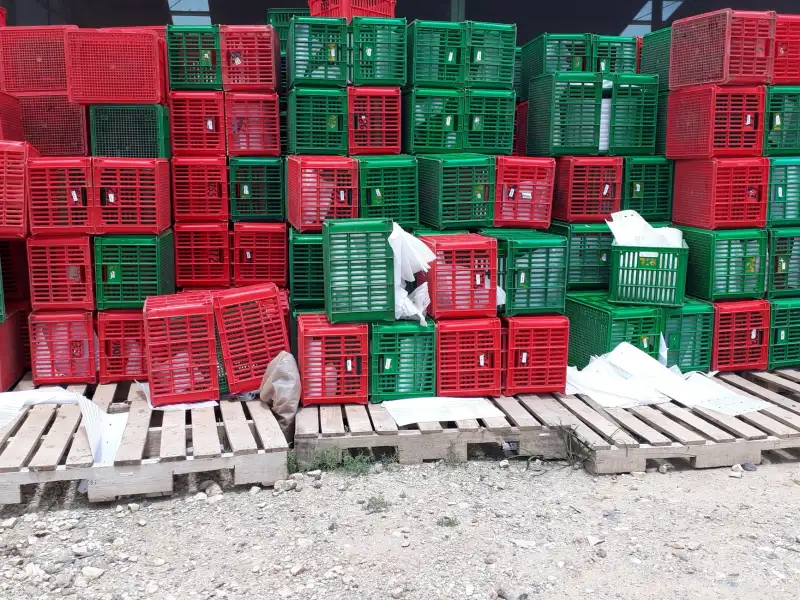 台州钰翠出品：不同价位翡翠挂件与文玩手串的工艺对比
